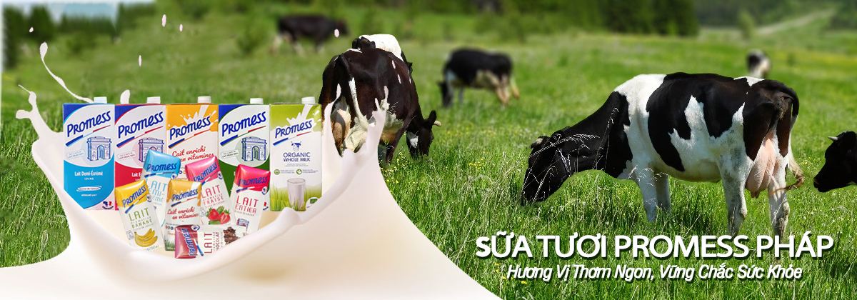 Sữa Promess Pháp