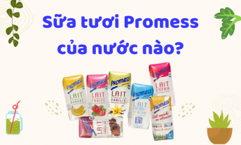 Sữa tươi Promess của nước nào?