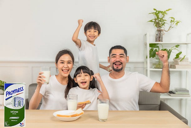 Sữa tươi Promess Pháp không béo hộp 1 Lít