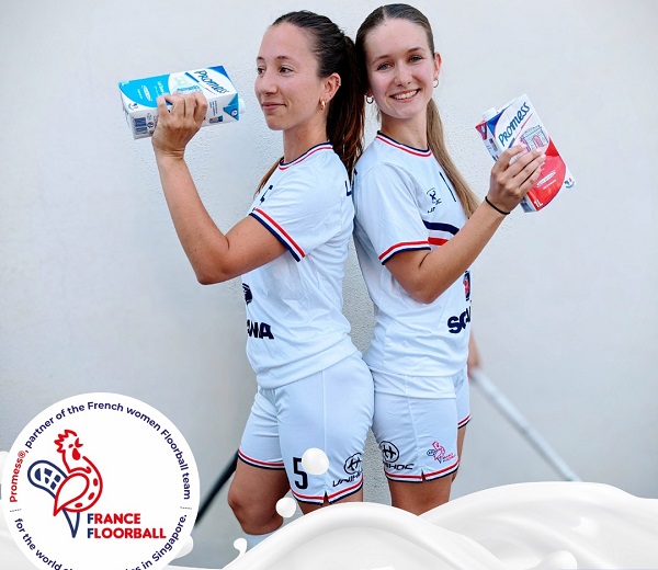 Sữa tươi Promess Pháp không béo hộp 1 Lít