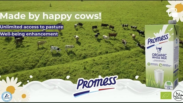 Sữa tươi Promess Organic nguyên kem hộp 1 Lít