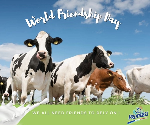 Sữa tươi Promess Organic nguyên kem hộp 1 Lít