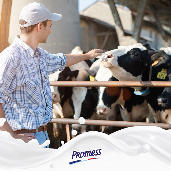 Sữa tươi Promess 1 lít gồm những loại nào